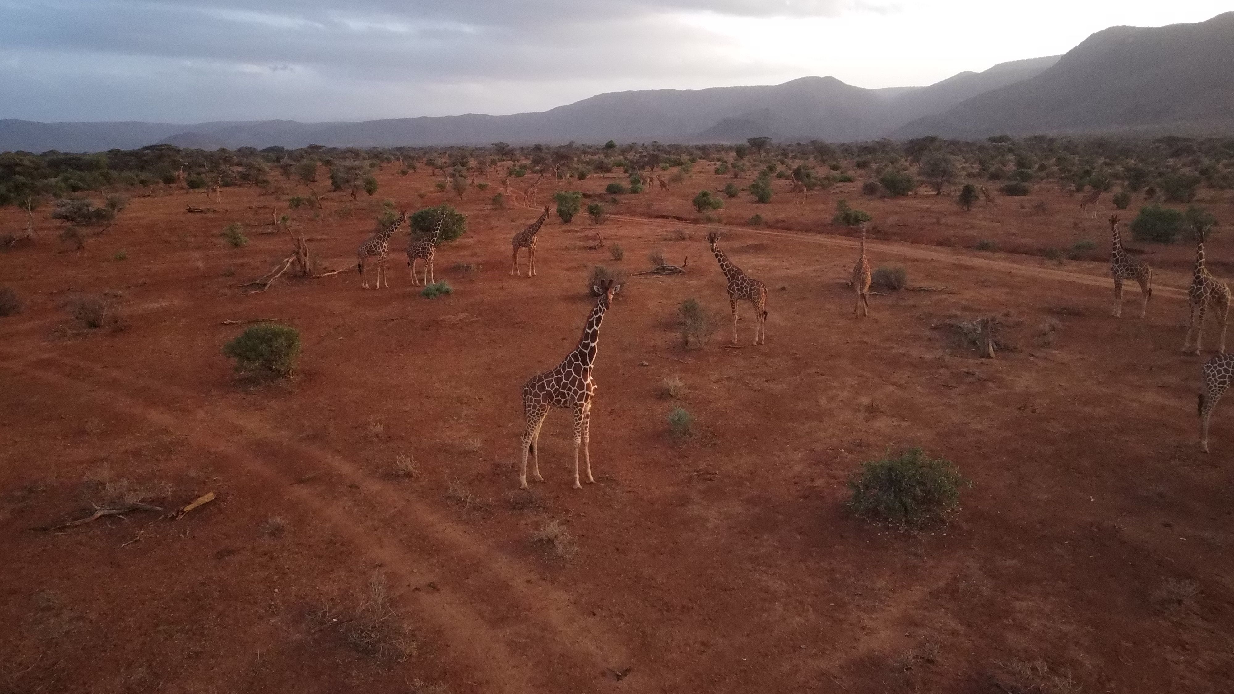 Samburu National Reserve